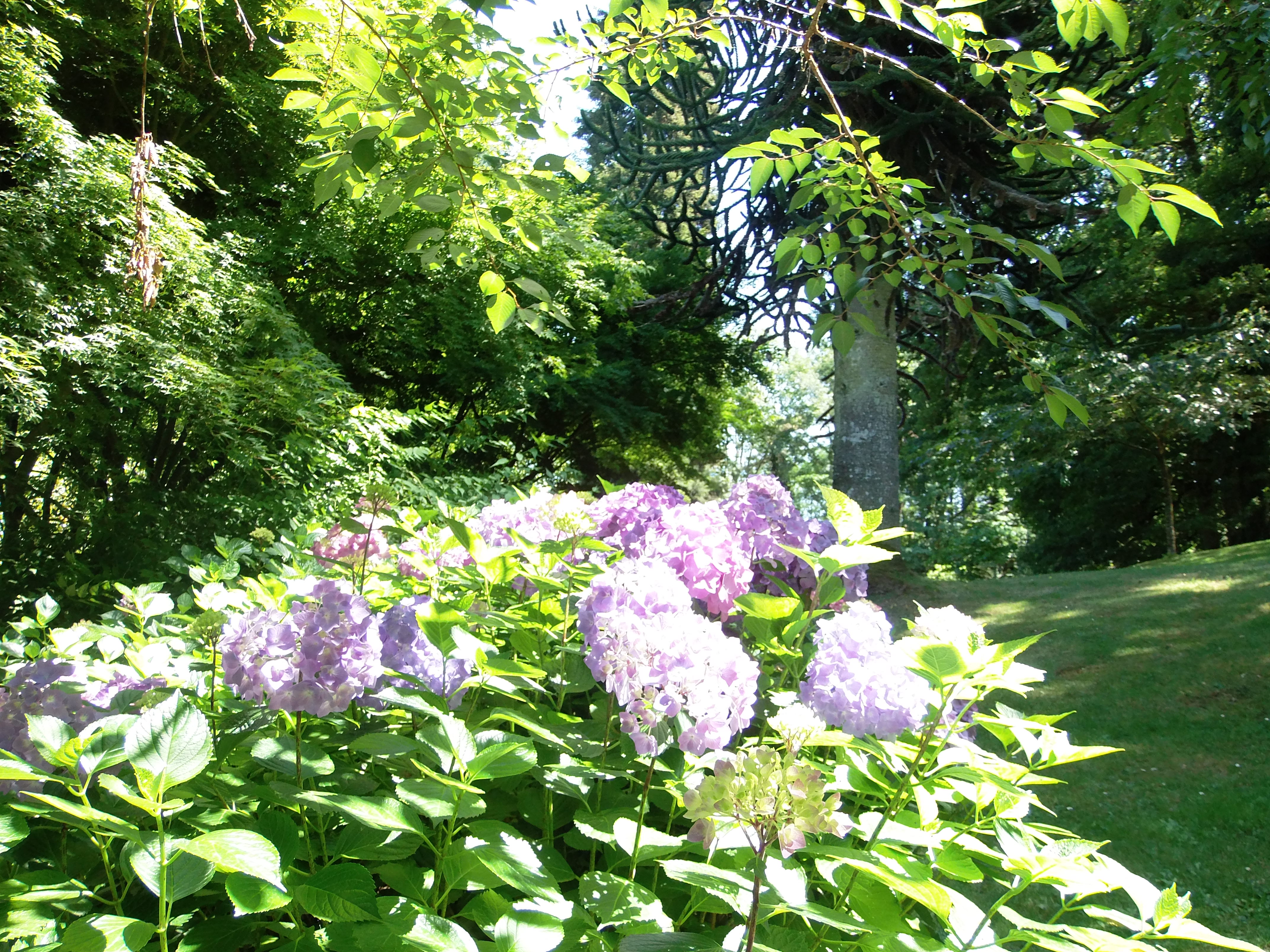Château de Maulévrier — château à Maulévrier, Maine-et-Loire, inscrit mh