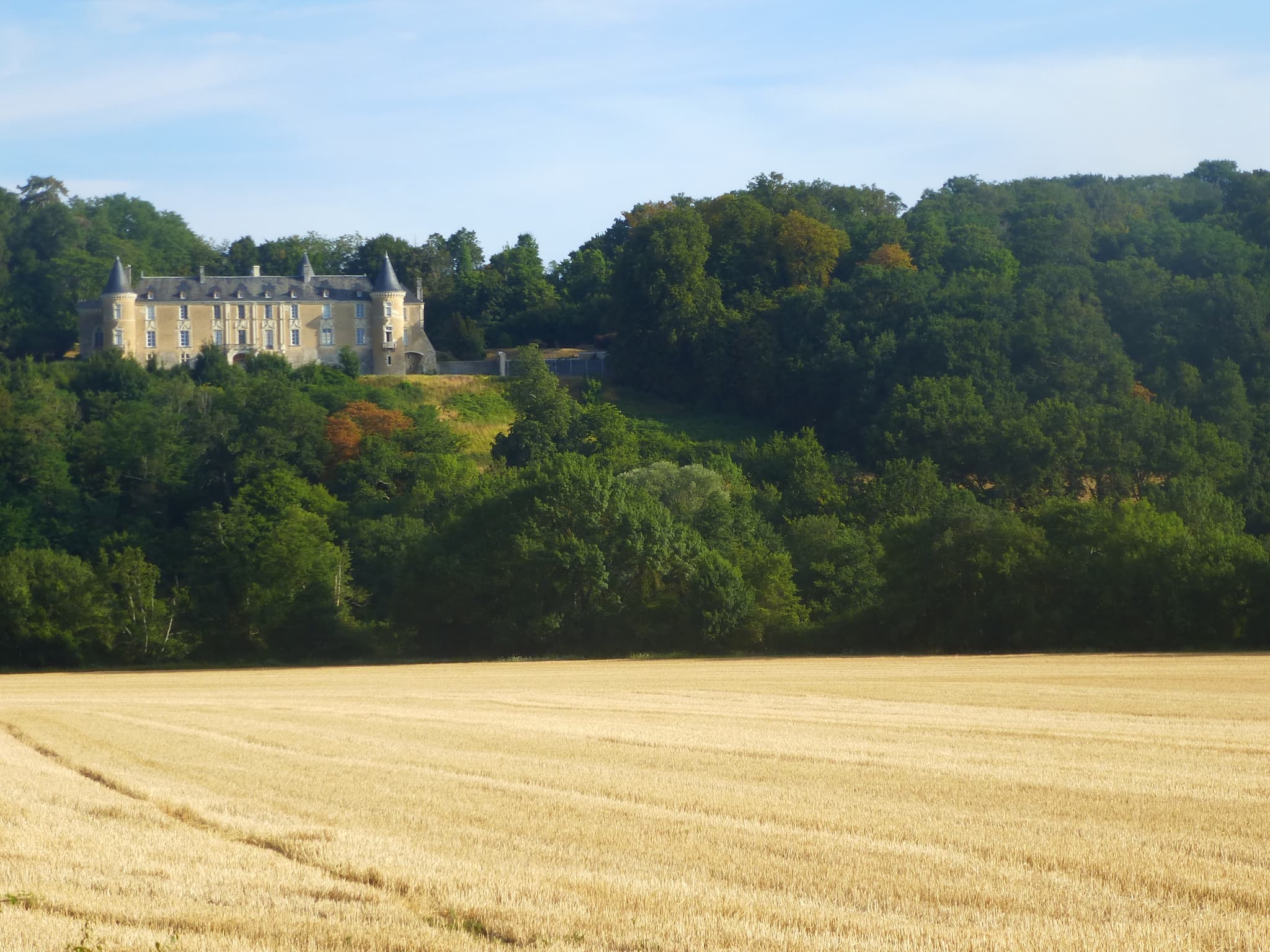 Château de Courtanvaux — château à Bessé-sur-Braye, Sarthe, intérieur, classé mh