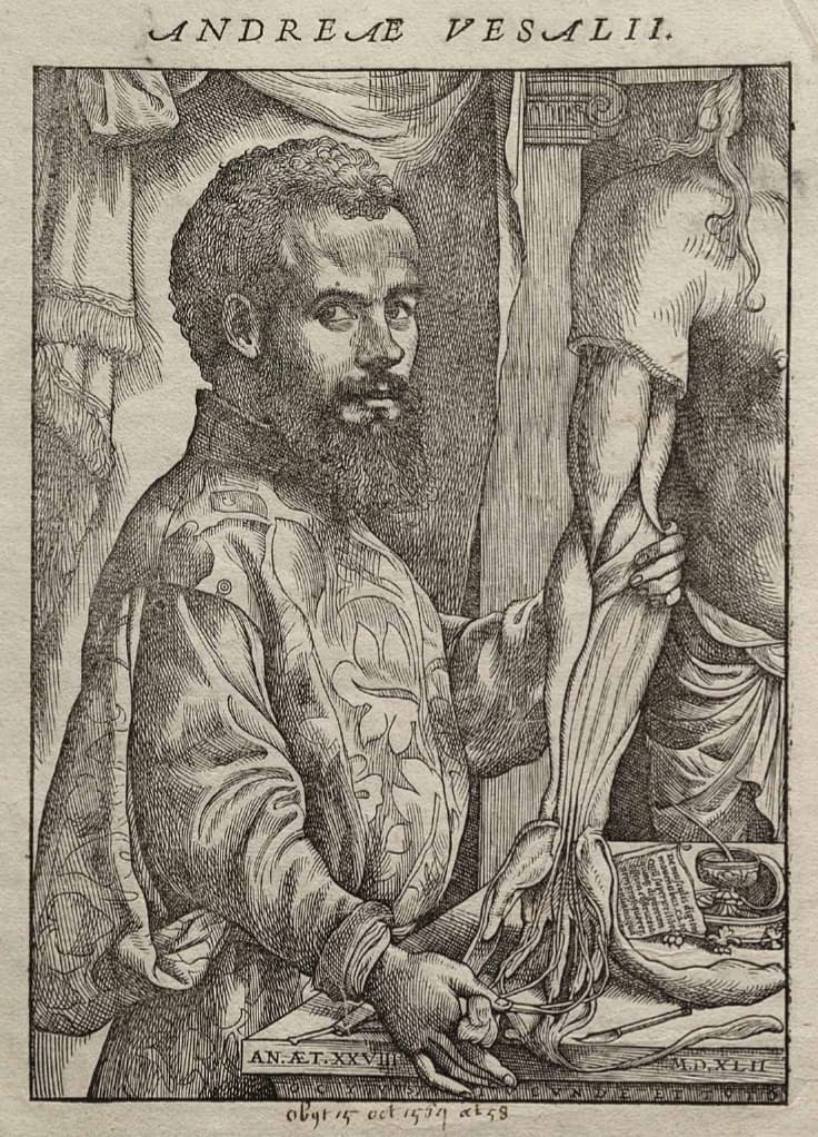 André Vesale