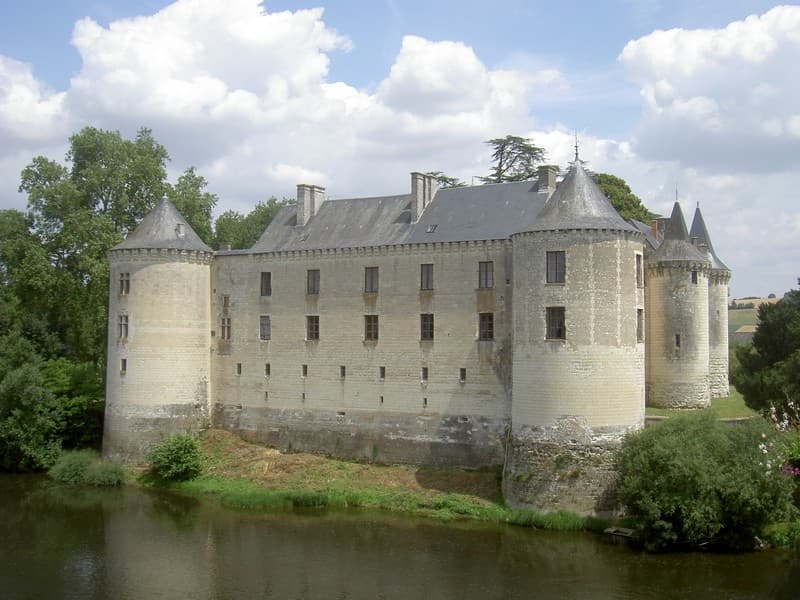Château de la Guerche — château à La Guerche, Indre-et-Loire, inscrit mh