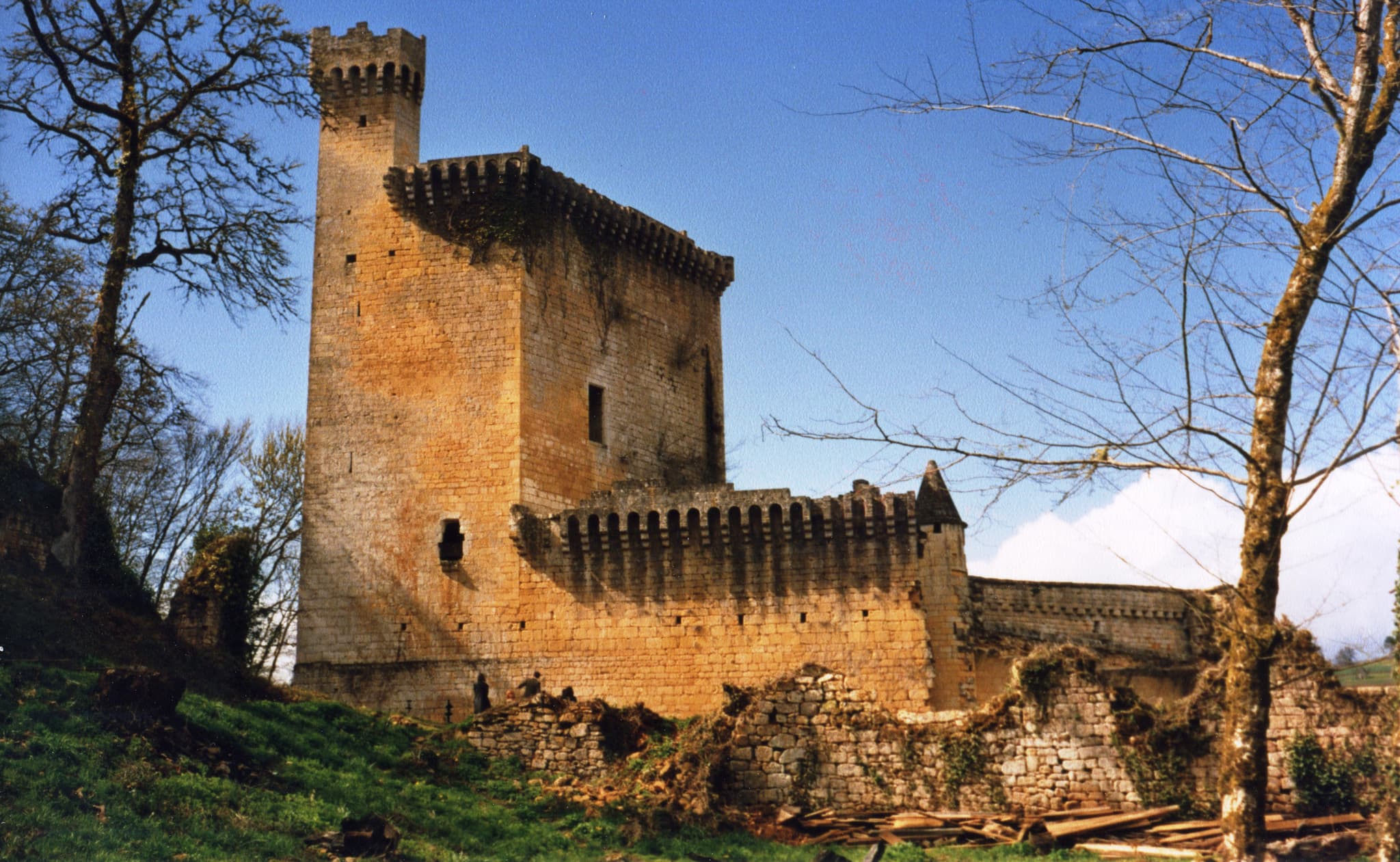 Château de Commarque — château à Les Eyzies, Dordogne, classé mh