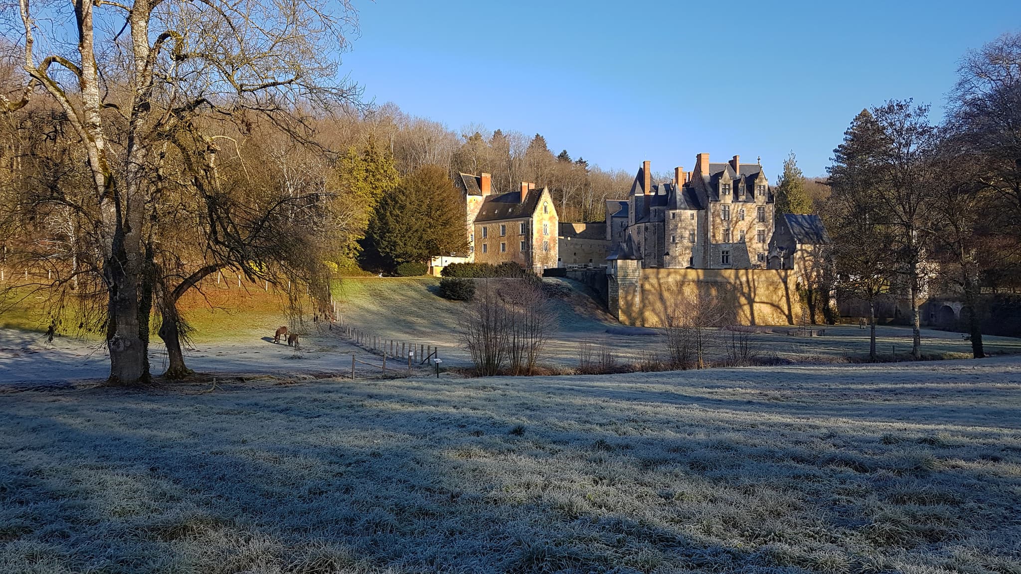 Château de Courtanvaux — château à Bessé-sur-Braye, Sarthe, façade, classé mh